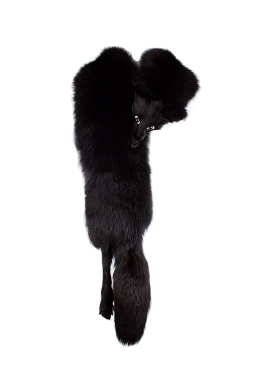 Temporary Unavailable - Fox Scarf Haute Couture FW2000